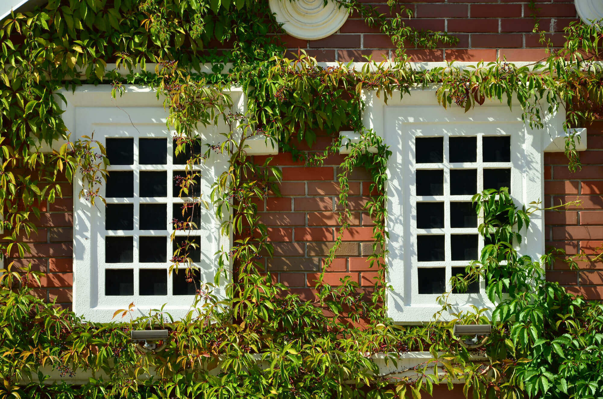 How Windows Can Make or Break Your Home